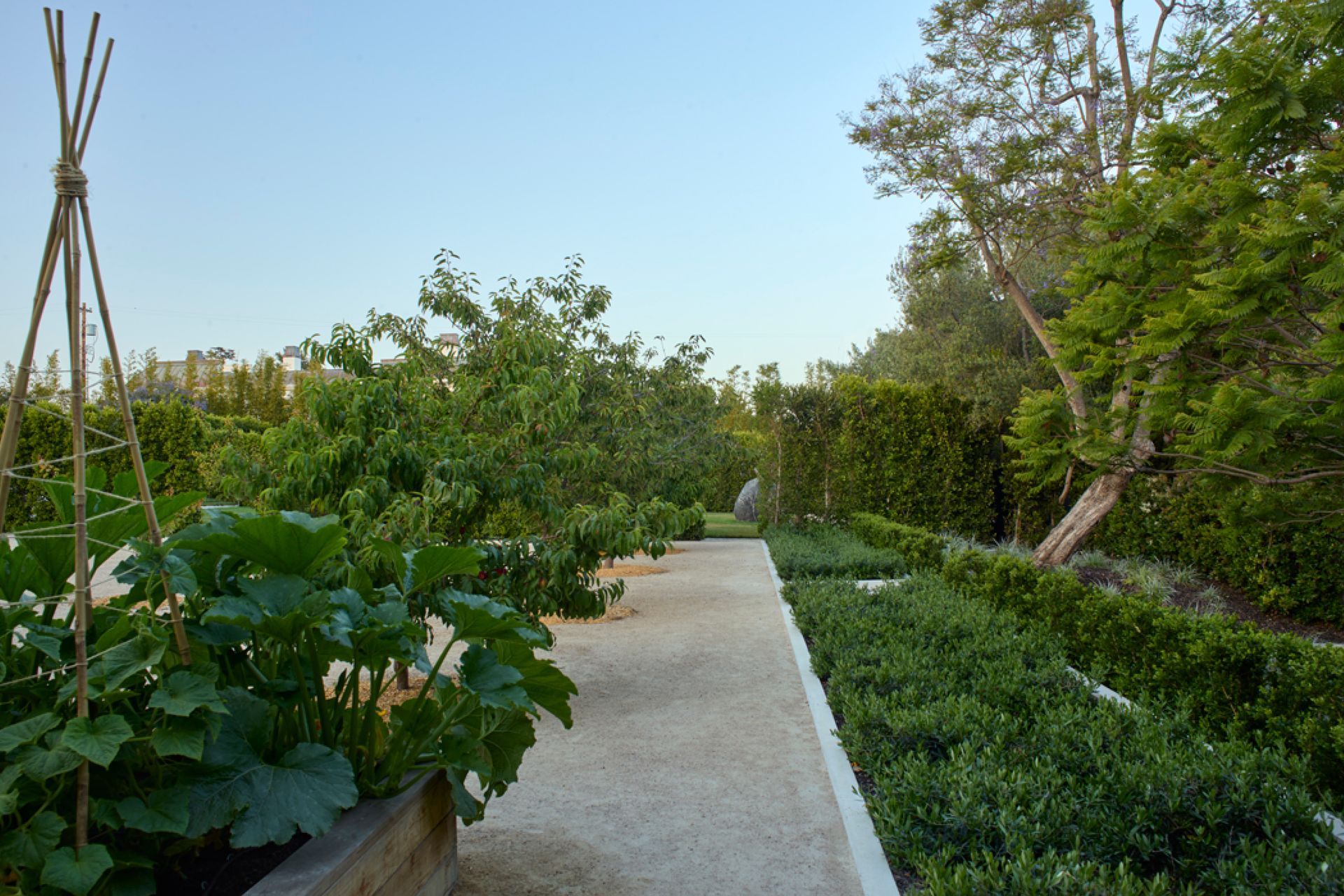 cityguesthouse04.jpg