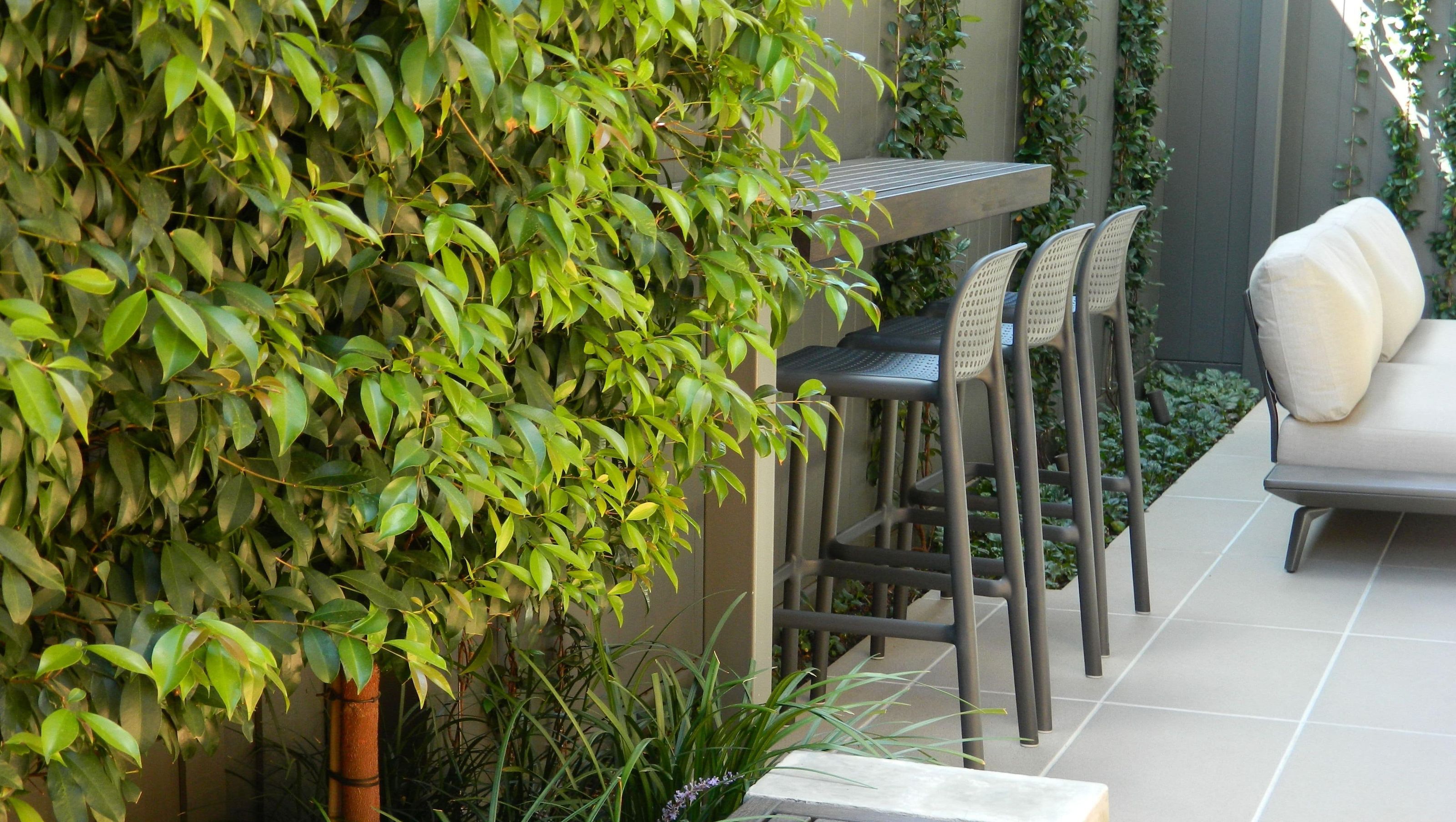 Pascoe Vale
