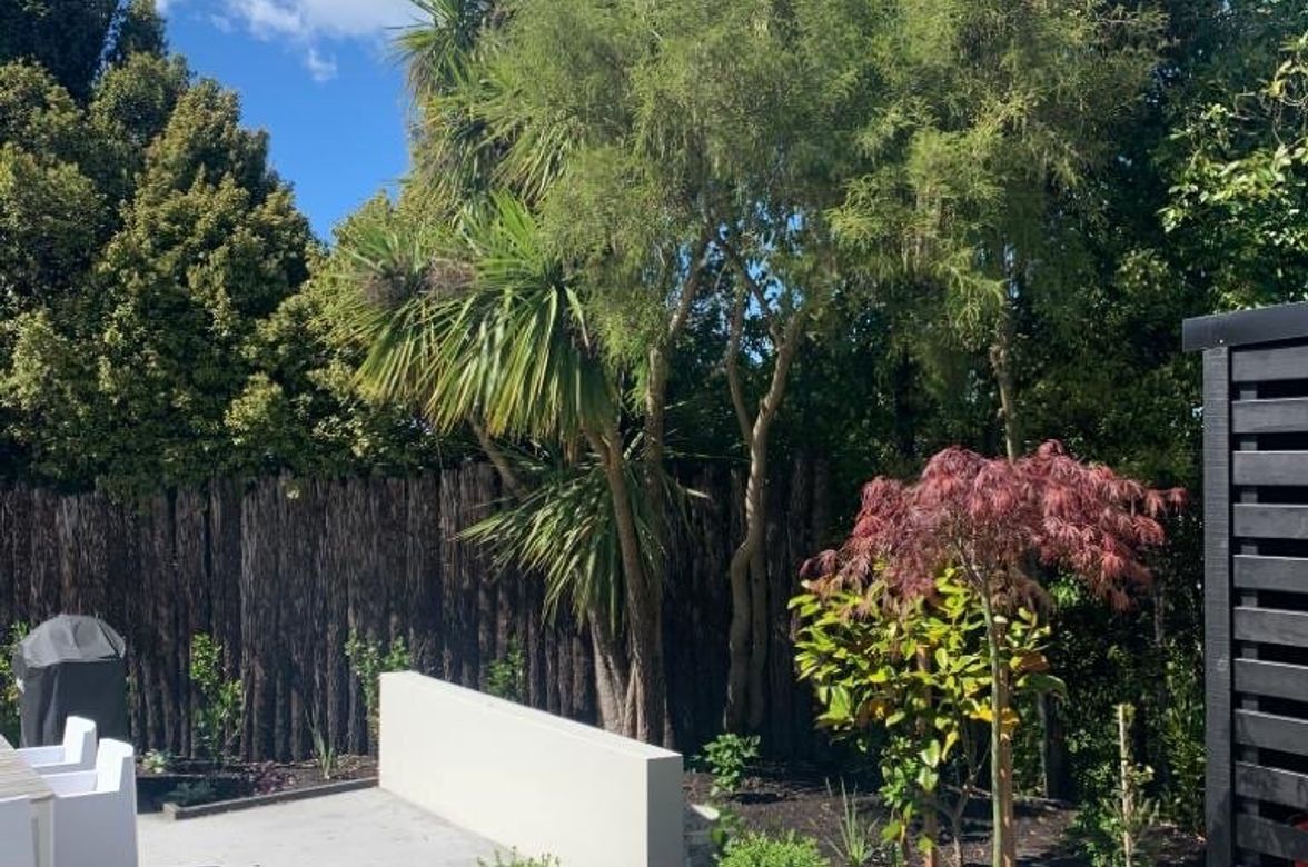 Dunedin Landscaping
