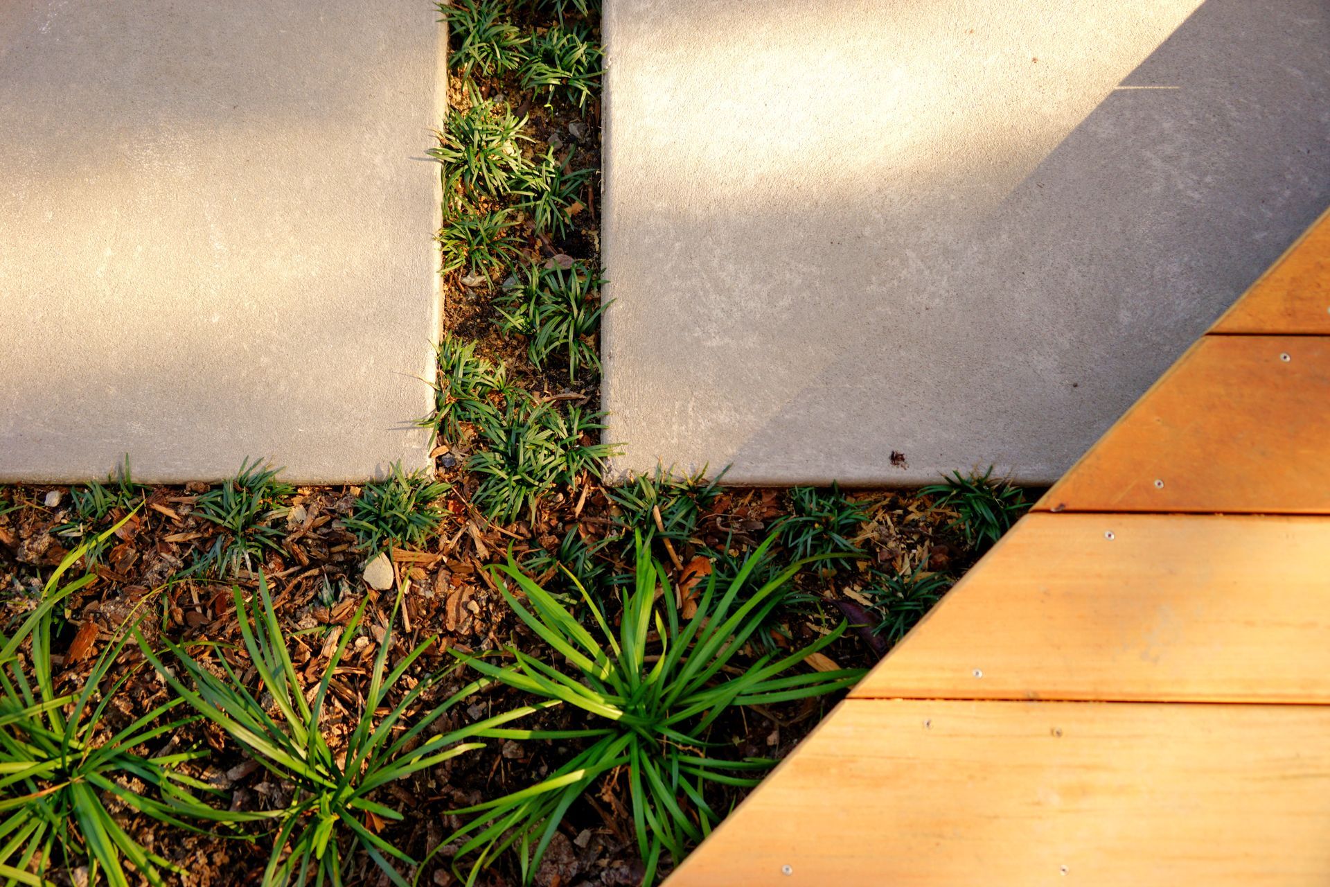 Garden Projects