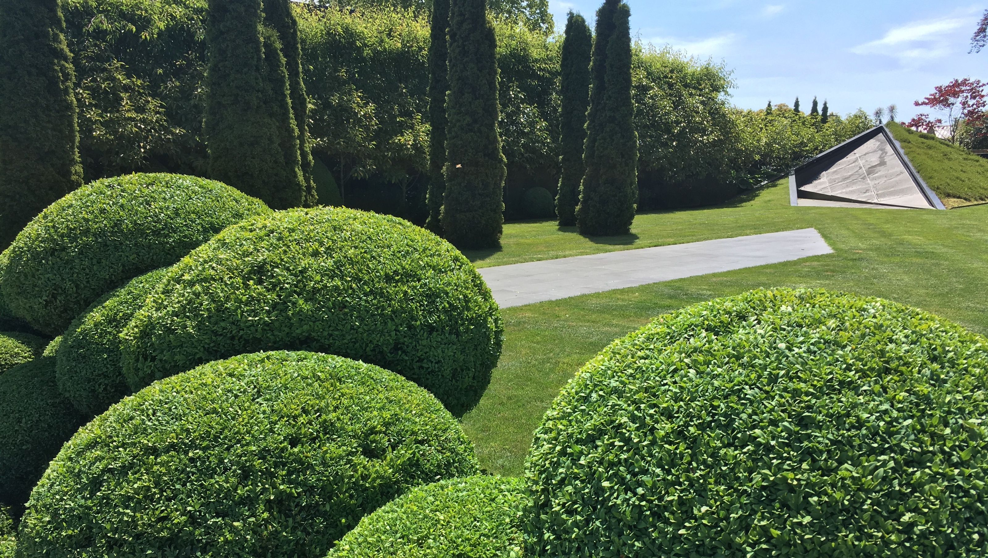 Grumpy's Garden