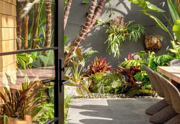 A sunlit tropical courtyard garden viewed through an open black-framed glazed door. The space features dense layered planting, palms, mounted greenery, a dark feature wall, moss-covered rocks with a small water feature, and large-format grey tiled paving. A woven outdoor dining chair and timber tabletop are visible at the right edge.
