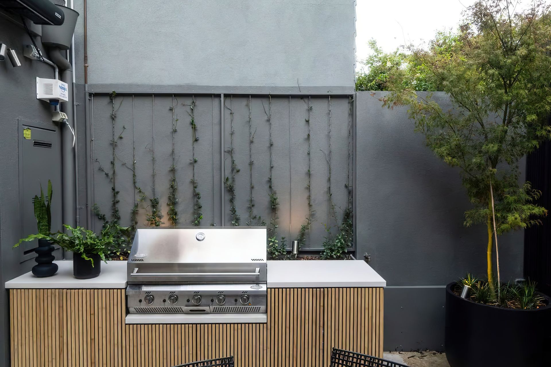 imgi28Small-Garden-Design-Darlinghurst-NSW-scaled.jpeg