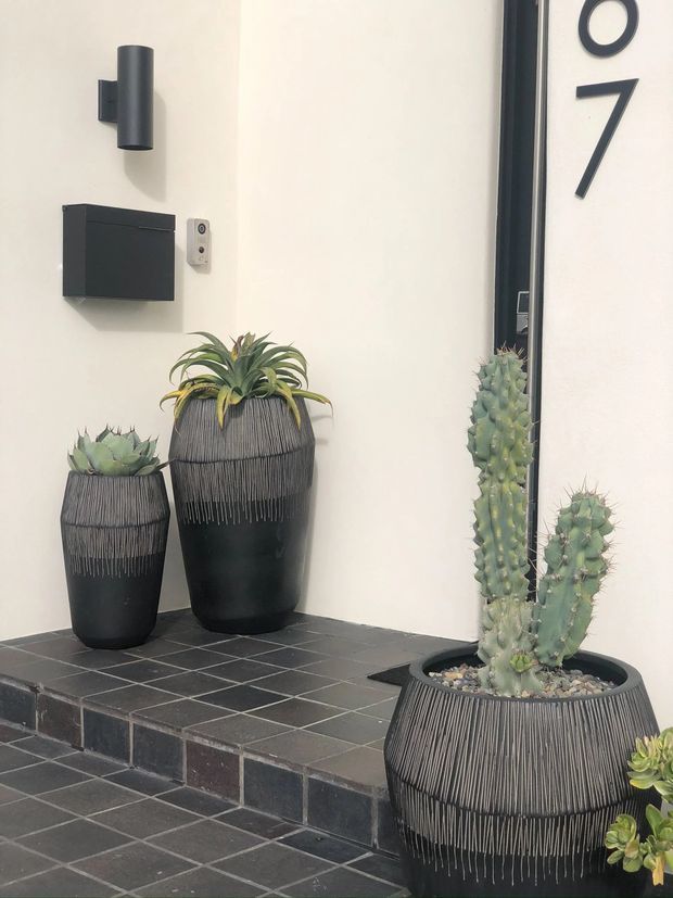 A modern residential entryway with dark tiled steps and landing, white rendered walls, a black cylindrical wall light, wall-mounted mailbox, house number, and several large black textured planters containing succulents and cacti.