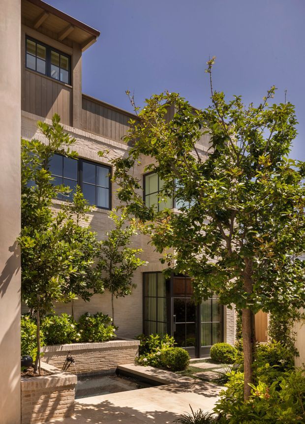 A sunlit landscaped courtyard enclosed by a multi-storey residential building. The facade combines warm textured masonry, vertical timber cladding, dark-framed multi-pane windows and tall glazed doors, with a timber-lined roof overhang. Mature leafy trees, raised masonry planters, clipped shrubs and pale paving create a secluded garden setting around a shallow water feature.