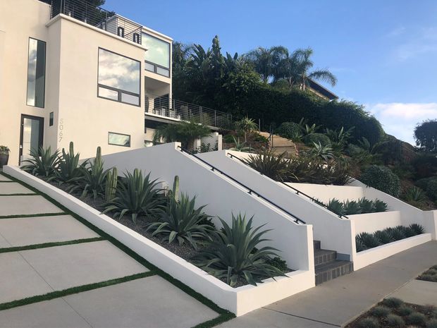 Exterior view of a contemporary multi-level residence on a sloped site, featuring smooth white rendered walls, large dark-framed windows, balconies, stepped retaining planters, and drought-tolerant succulent landscaping. The property is accessed by broad concrete driveway panels separated by narrow strips of grass, with stairs and ramps integrated into the front garden.