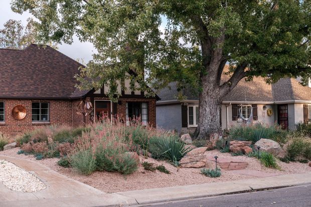 Street-facing view of a low-rise residential property with several connected or closely spaced houses, including red brick and light rendered facades, steep hipped roofs with dark shingles, and traditional multi-pane windows. The front landscape features drought-tolerant planting, ornamental grasses, agave-like plants, gravel, sandstone boulders, and paved paths. Mature trees provide substantial canopy over the garden and street frontage.