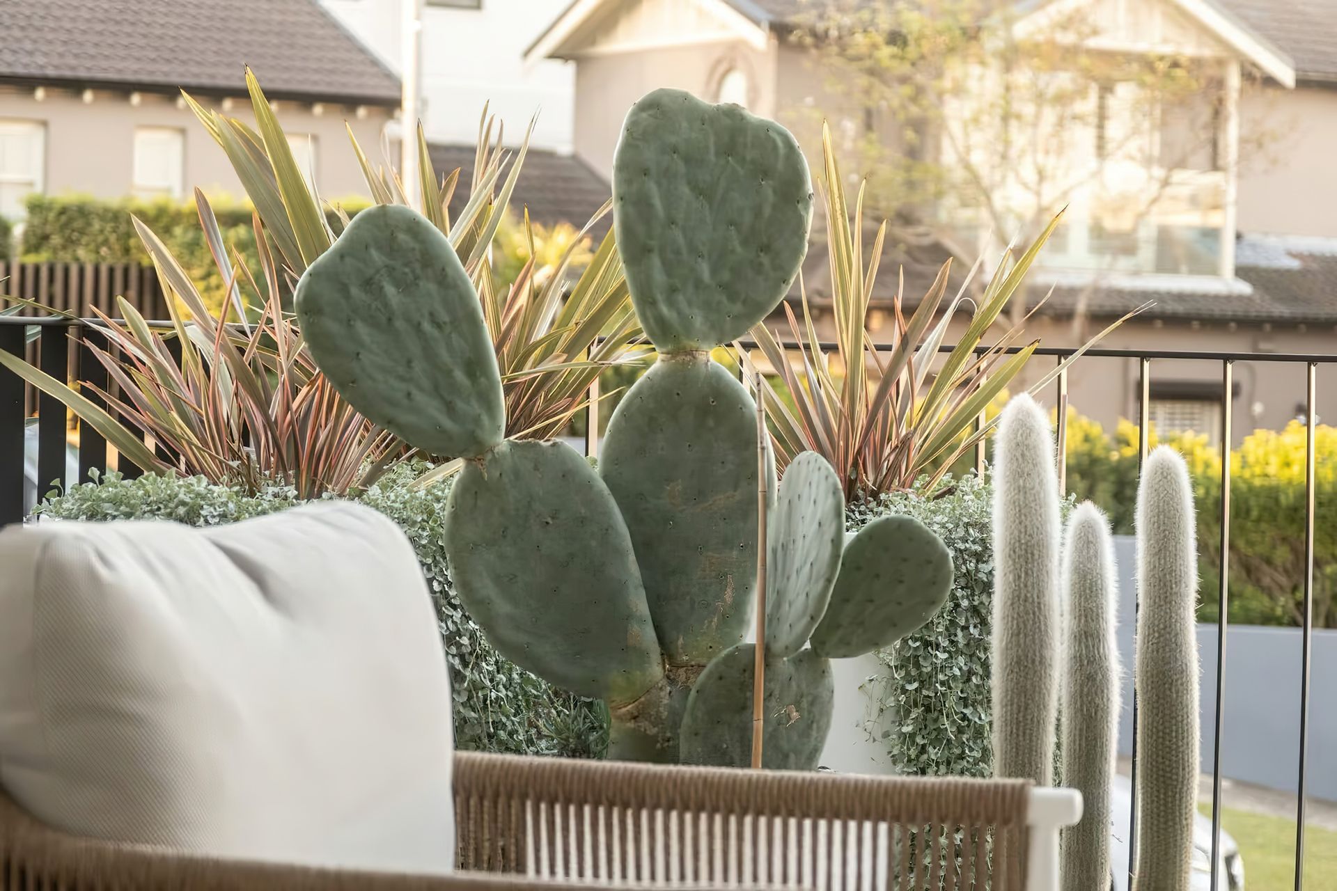 imgi9Balcony-landscapes-Bellevue-Hill-By-Vogue-Vine-1-scaled.jpeg
