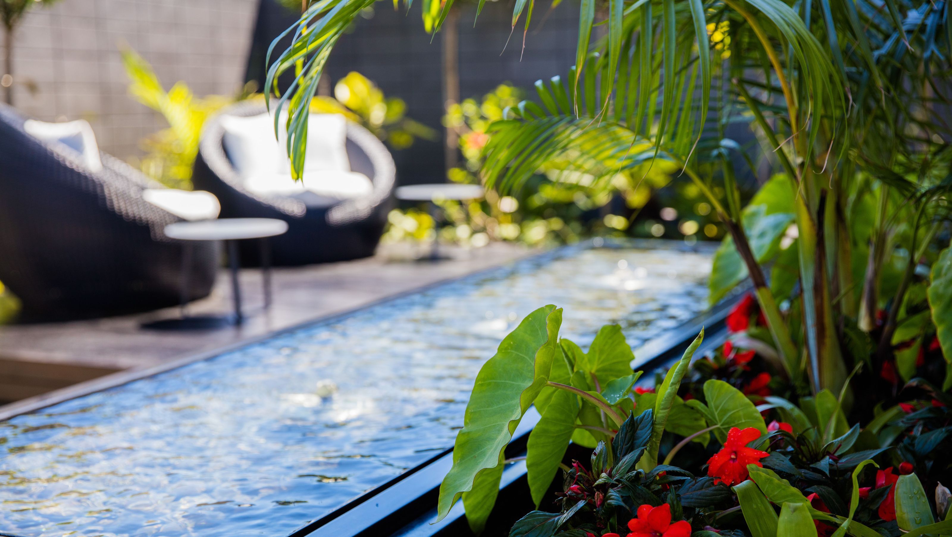 Courtyard Oasis, Hauraki
