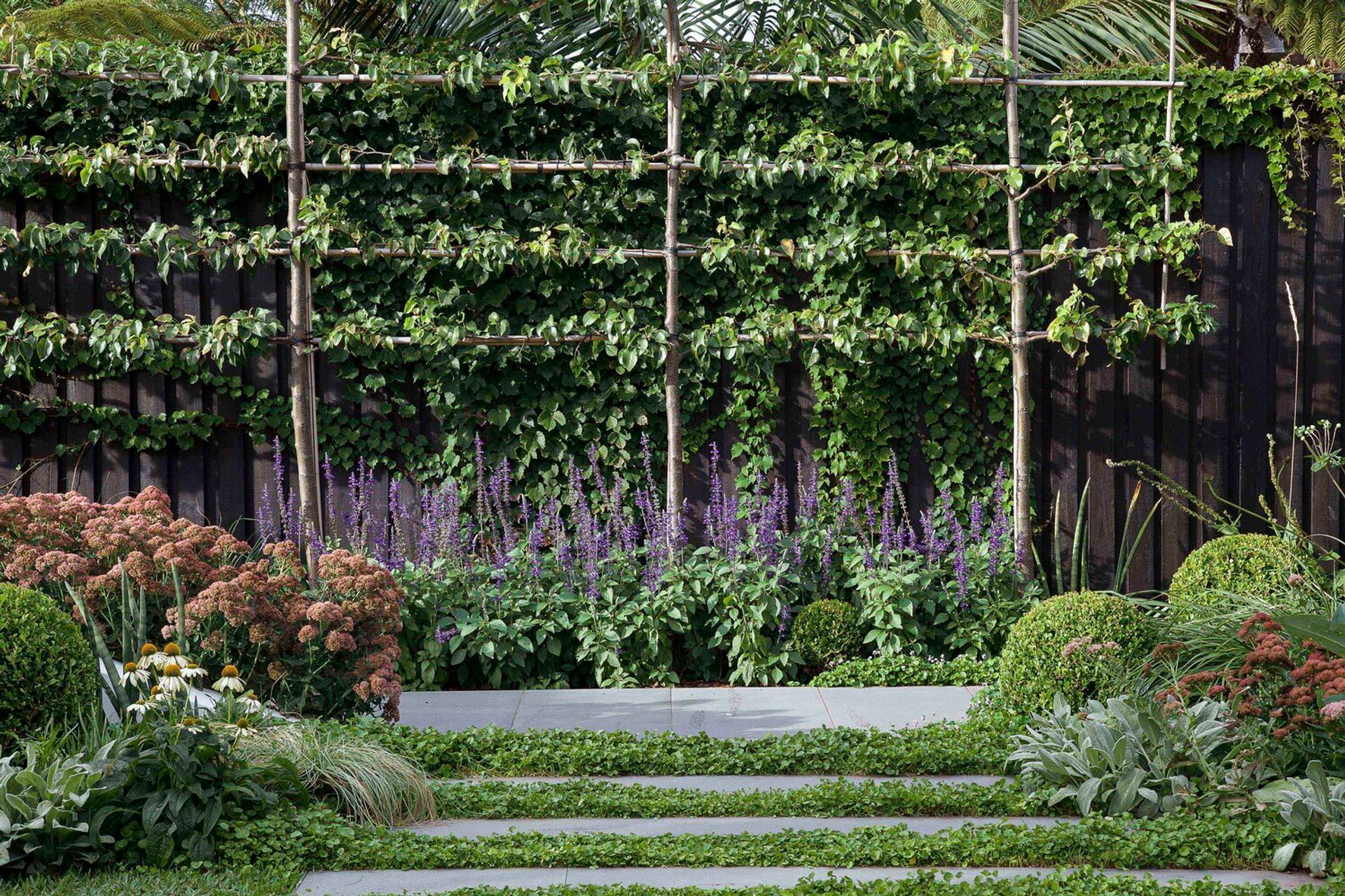 Glenn's Garden