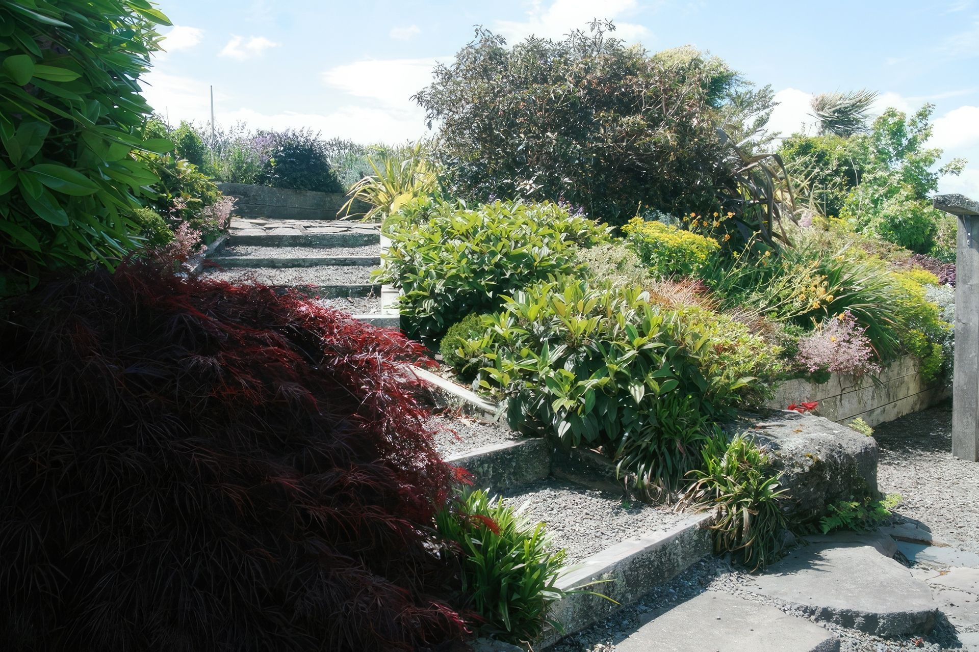 rotorua-landscaping3-gigapixel-standard-scale-400x.jpg