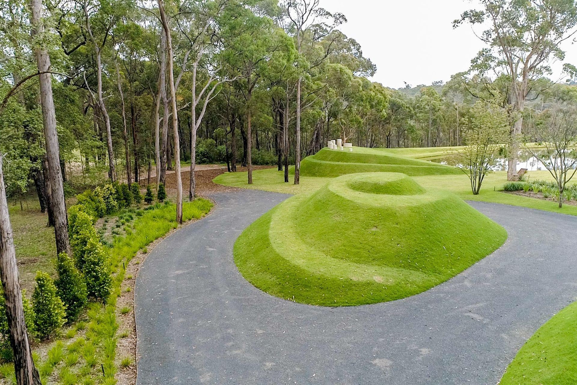 Kurrajong