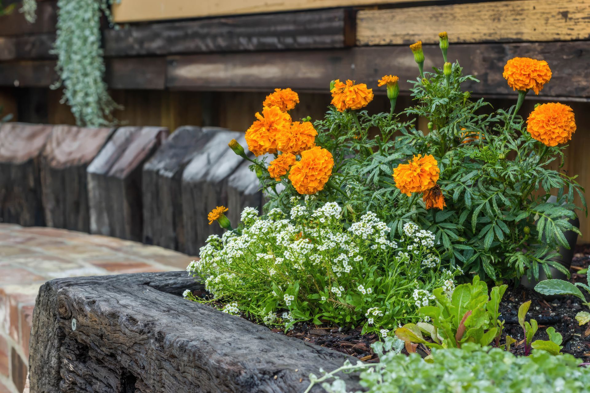 up9-Parry-Street-garden-fix-standard-scale-200x.jpg