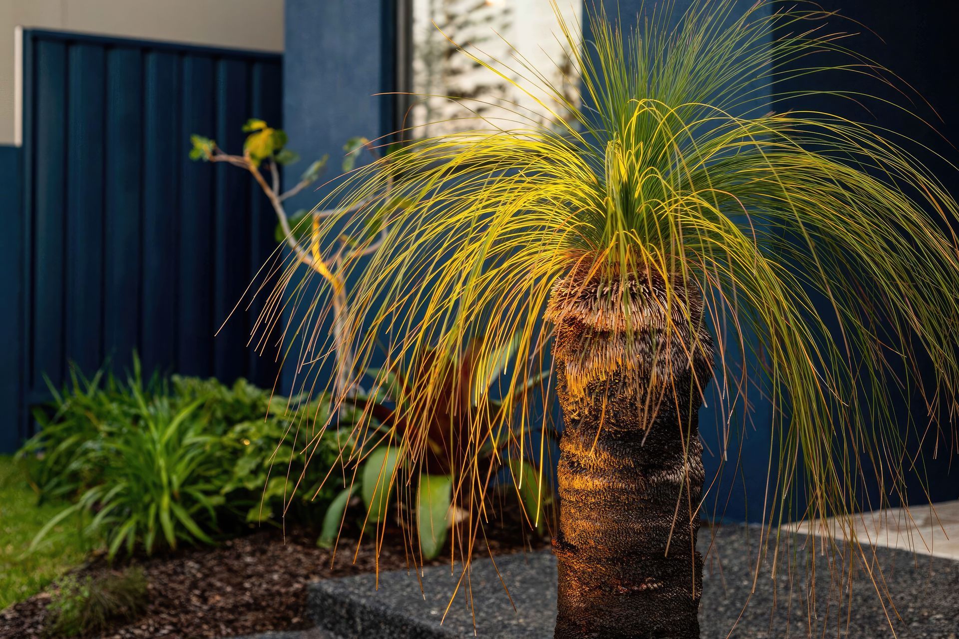 upBar-Beach-Urban-Oasis-Mature-grass-tree-scaled-fix-standard-scale-200x.jpg