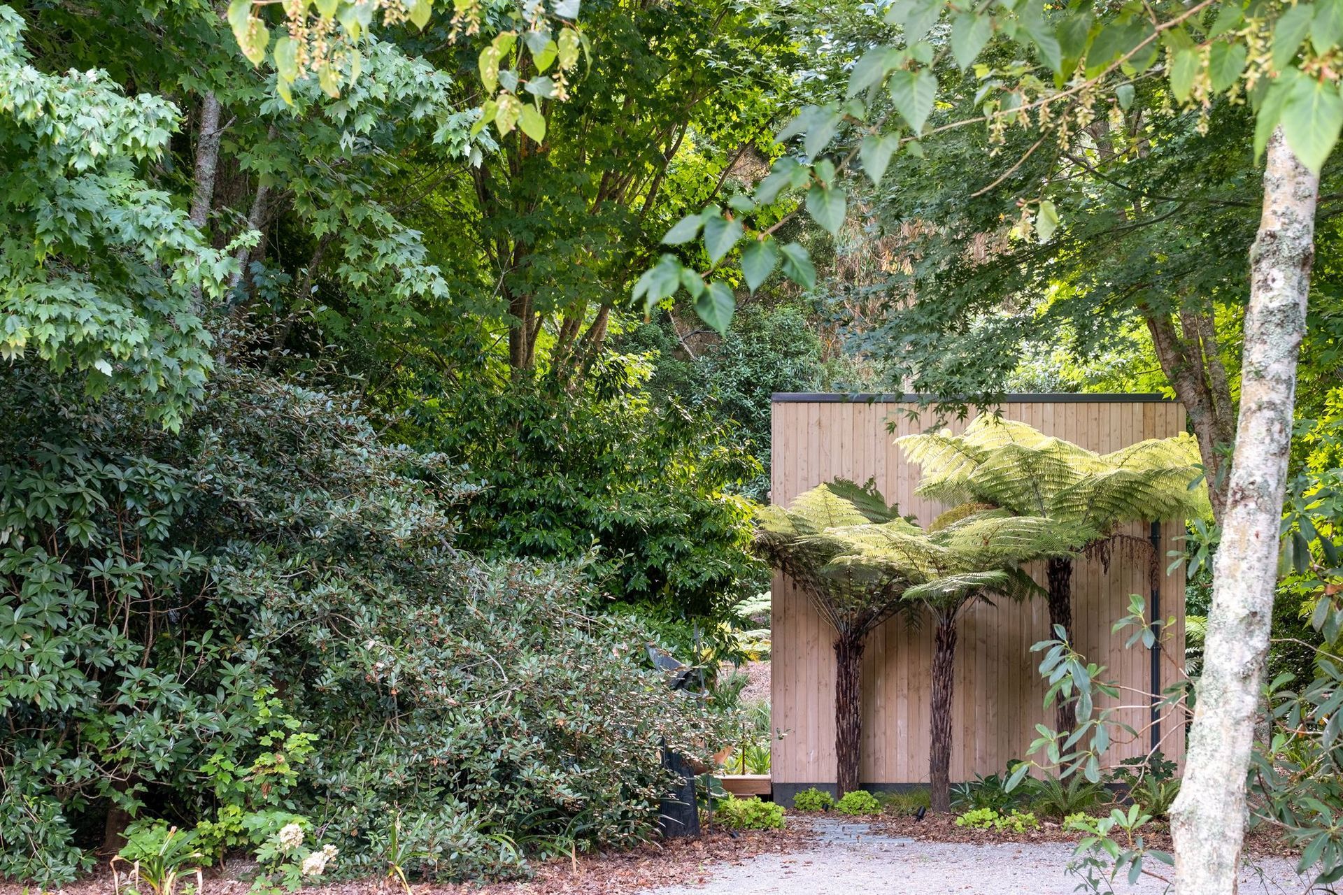 The Chemis Cabin