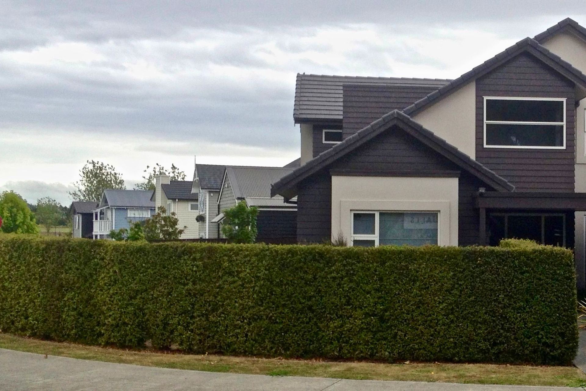 AFTER – Completed landscaping, instant privacy