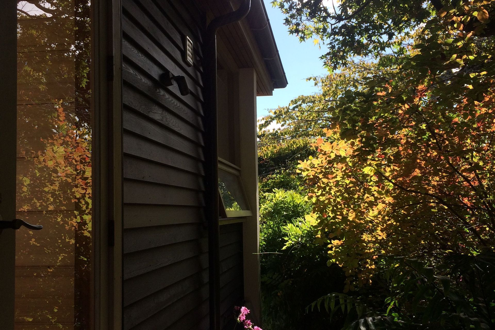 two houses and a shared garden
