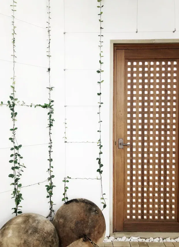 A minimalist architectural entry detail featuring a white tiled wall with delicate climbing vines trained in vertical and horizontal lines. A warm timber door with a perforated square lattice panel occupies the right side, framed in dark wood and set above a strip of white decorative stones. Large rounded natural-toned sculptural objects sit at the base of the wall, adding an organic accent.