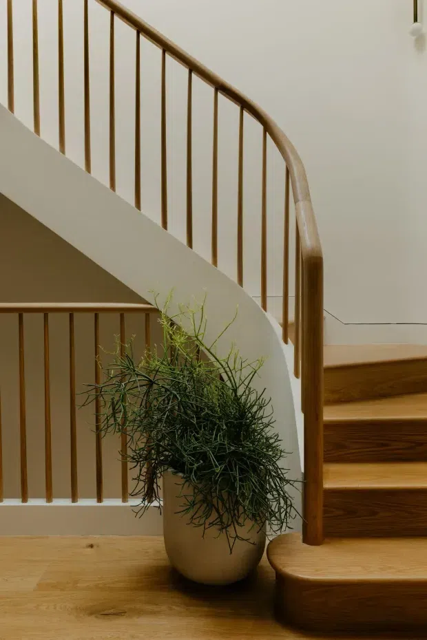 Close-up interior view of a curved timber staircase with rounded wooden handrail, slender vertical timber balusters, and white painted stair stringers. Warm timber treads and flooring contrast with the neutral walls, while a large potted plant sits at the base of the stair. The image highlights refined stair detailing and a warm, natural material palette.