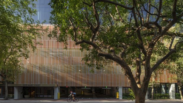 Exterior architectural view of a multi-storey urban building, largely screened by a dense mature tree. The facade features closely spaced vertical timber-toned slats creating a warm, rhythmic envelope over a recessed ground-level area, with glazed openings and an entrance or service zone below. A cyclist and street edge are visible in the foreground.