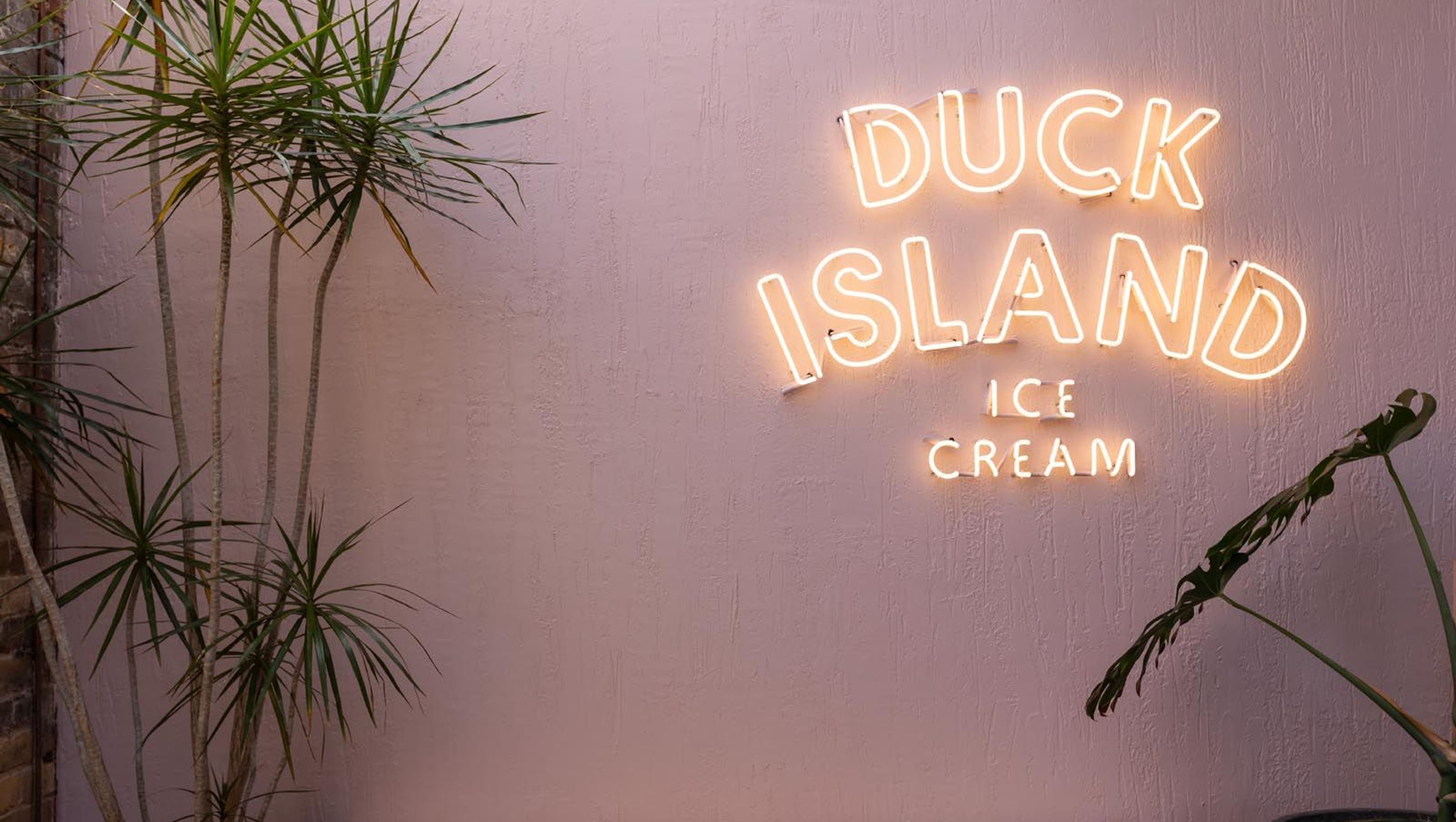 Duck Island—Newmarket