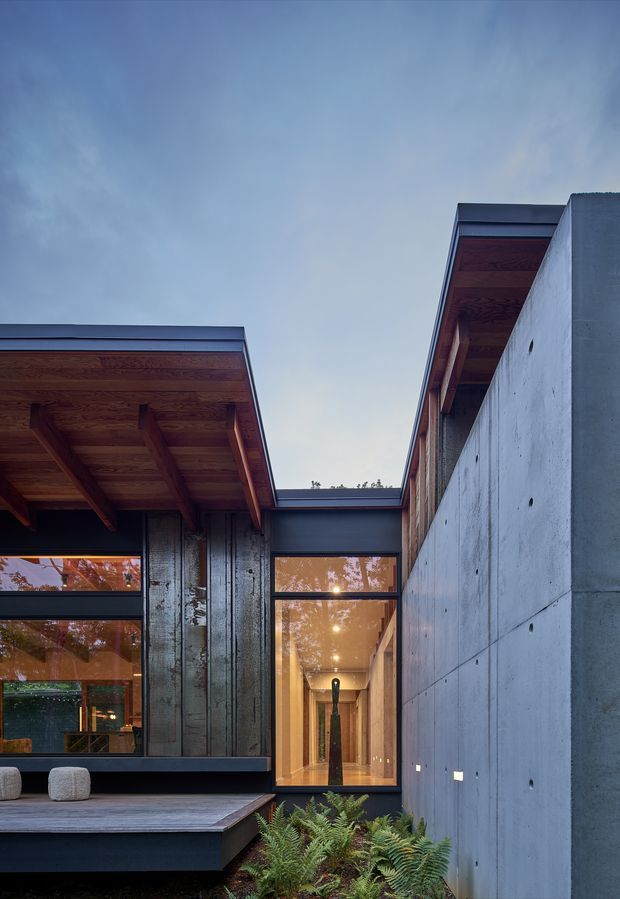 Exterior architectural view of a contemporary residence arranged around a narrow landscaped courtyard. The composition shows projecting low-pitched roof planes with exposed timber soffits, dark metal fascia and framing, vertical timber cladding, large glazed openings, and a tall board-formed concrete wall. A raised timber deck and ferns occupy the foreground, while warm interior lighting is visible through the glazing.