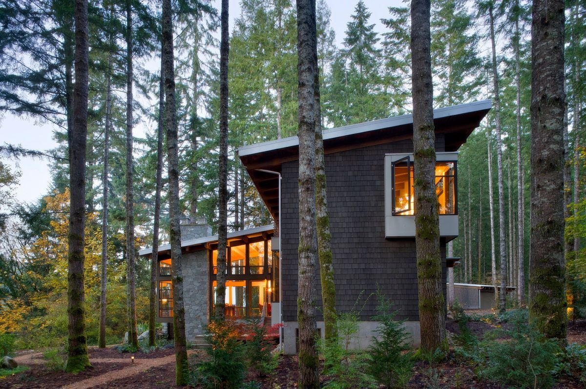 House in the Trees