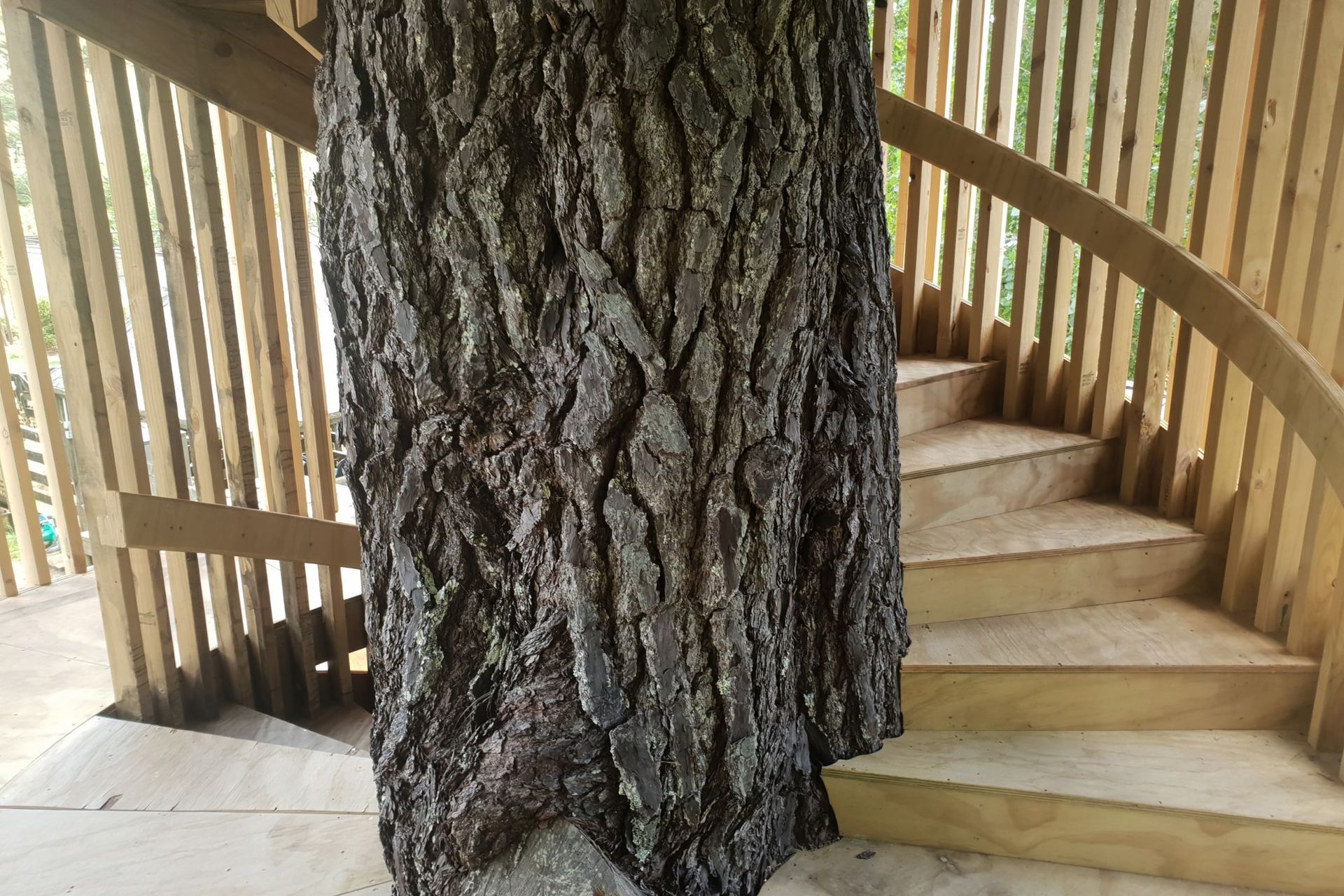 Treehouse