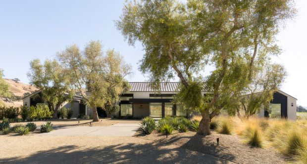 Single-storey contemporary residence viewed from the front, set in a dry landscaped setting with mature trees, ornamental grasses, agave-like plantings and a broad gravel forecourt. The home has dark vertical cladding, expansive glazing, a low-pitched metal roof and a simple horizontal composition.