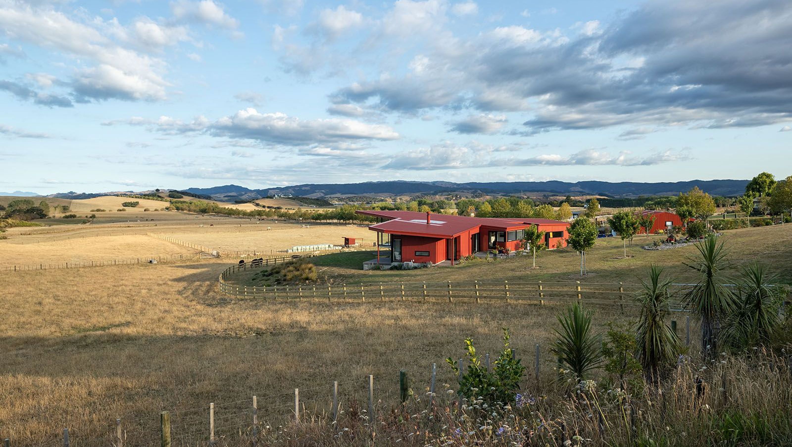 Parirau