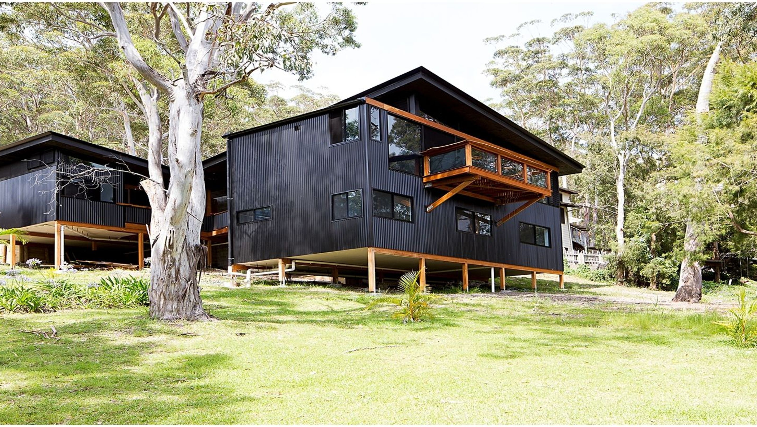 Lizzie Treehouse