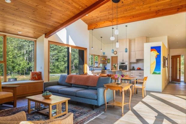 Open-plan living and dining area with a warm timber-lined ceiling, exposed dark timber beam, expansive wood-framed glazing, and views into a leafy setting. A blue sofa, patterned rug, timber coffee table, dining table and chairs, pendant lights, and a compact kitchen create a bright, relaxed mid-century-inspired interior. White kitchen cabinetry and a colourful artwork add contrast, while strong sunlight casts geometric shadows across the floor.