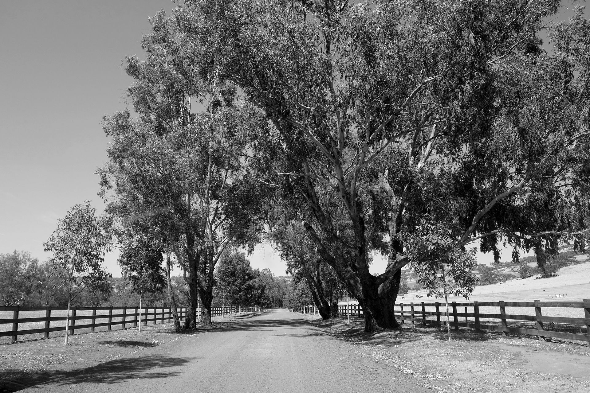 Avon Valley