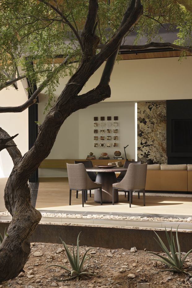A refined indoor-outdoor dining area viewed through a mature sculptural tree. The space features a round dining table with four upholstered chairs, warm timber flooring and ceiling detailing, a long tan built-in or upholstered bench, a dramatic stone feature wall, dark-framed openings, and carefully arranged display shelving. The minimalist courtyard planting and gravel foreground create a strong connection between the interior and landscape.