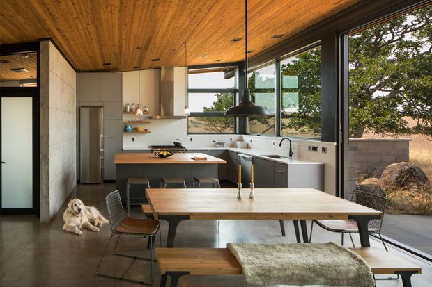 Open-plan kitchen and dining area with a contemporary industrial character. The room features a warm timber-lined ceiling, polished concrete flooring, large black-framed windows and doors, dark kitchen cabinetry, a light benchtop, stainless-steel appliances, and a long timber dining table with bench seating. A landscaped exterior is visible through the extensive glazing.
