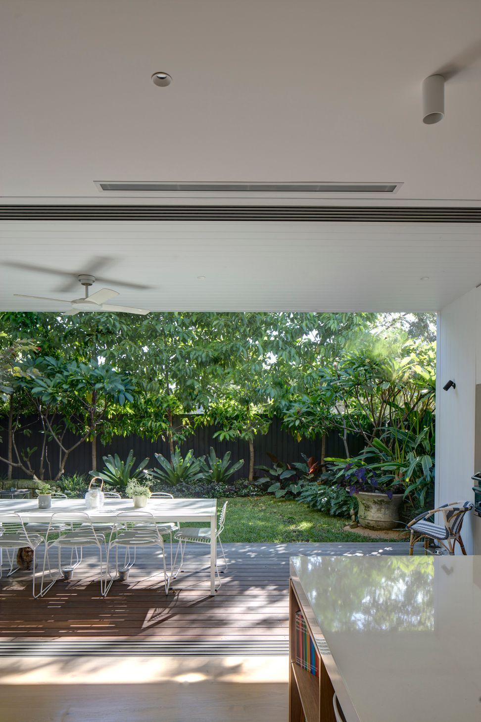 Framing the outlook of the garden.