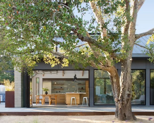 Exterior view of a contemporary single-storey home partially screened by a large mature tree. The dark-framed facade combines expansive glazing with a broad open kitchen connection to the outdoor terrace. Inside, a warm timber kitchen with island, stools, pendant lighting and a tiled backsplash is clearly visible. Pale masonry, dark metal framing and a low-pitched roof create a modern, understated composition.