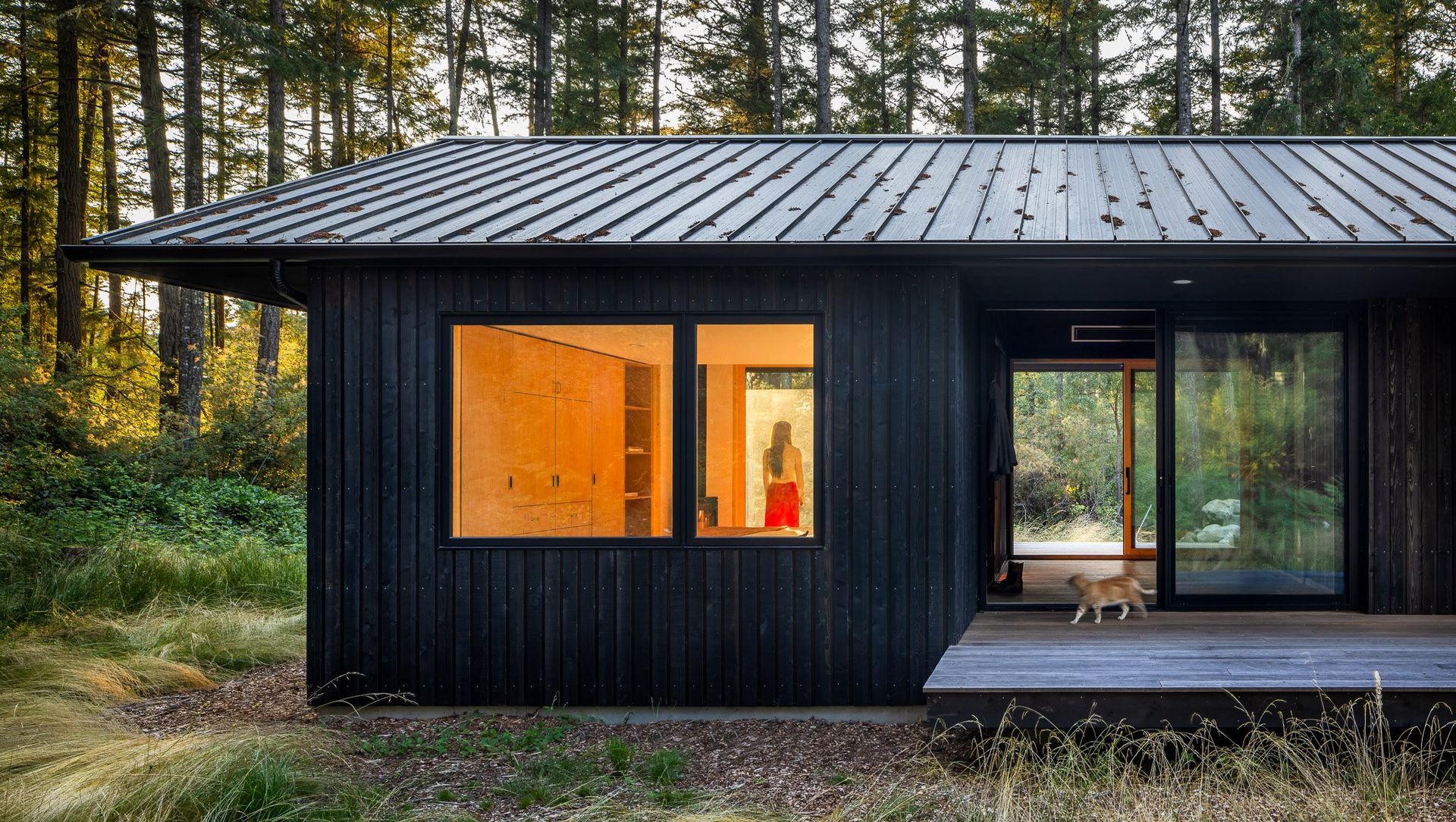 Bladderwrack Cabin banner