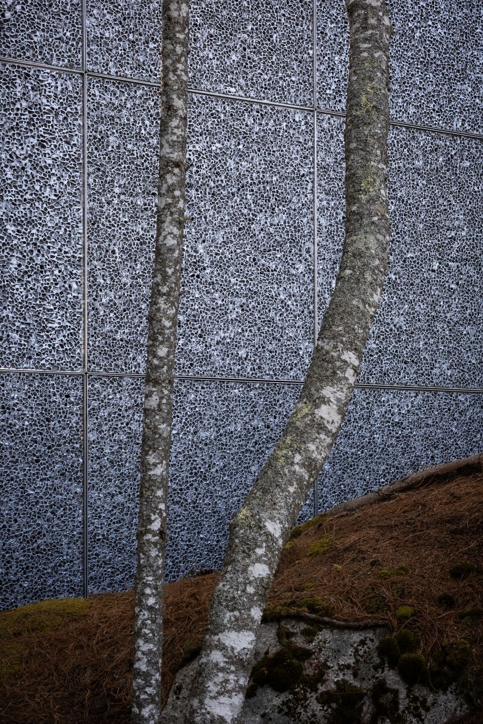 WEBDSCF3891-Edit.jpg