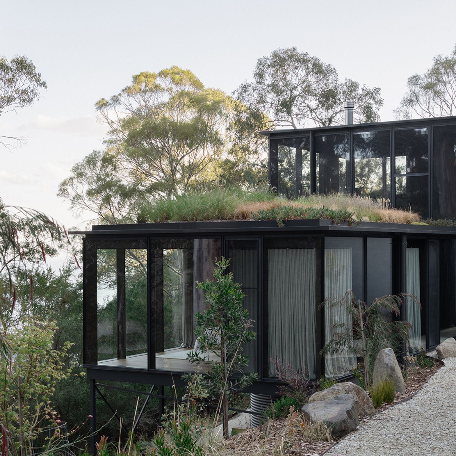 te2412ArchierTaroona020.jpg