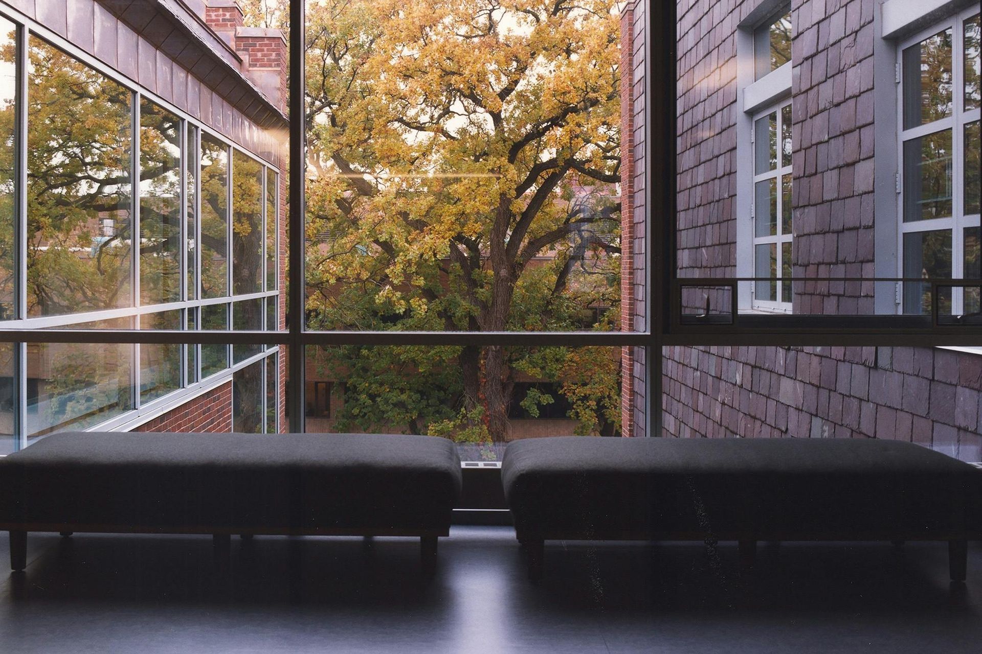 1903-Carlton-College-Tim-Hursley-H-Interior-Benches-View-1-1.jpg