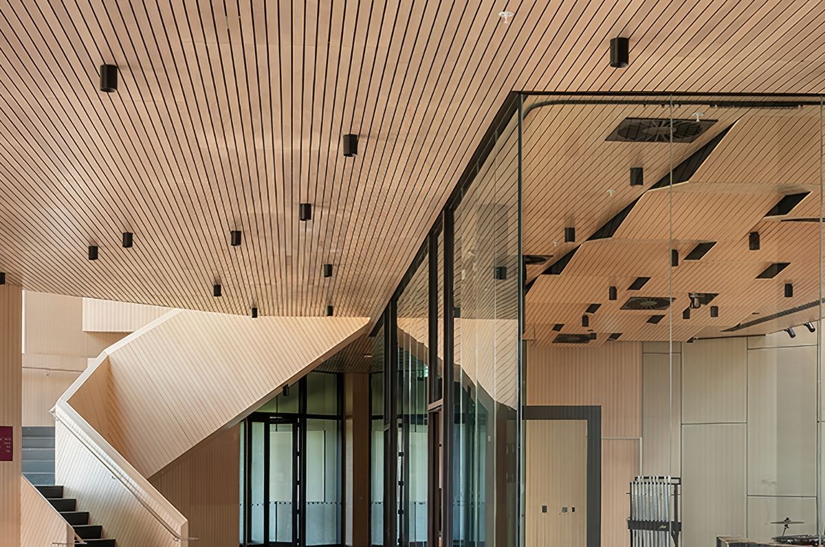 Toi Manawa Kīngi Kāreti, King’s College’s Performing Arts Centre