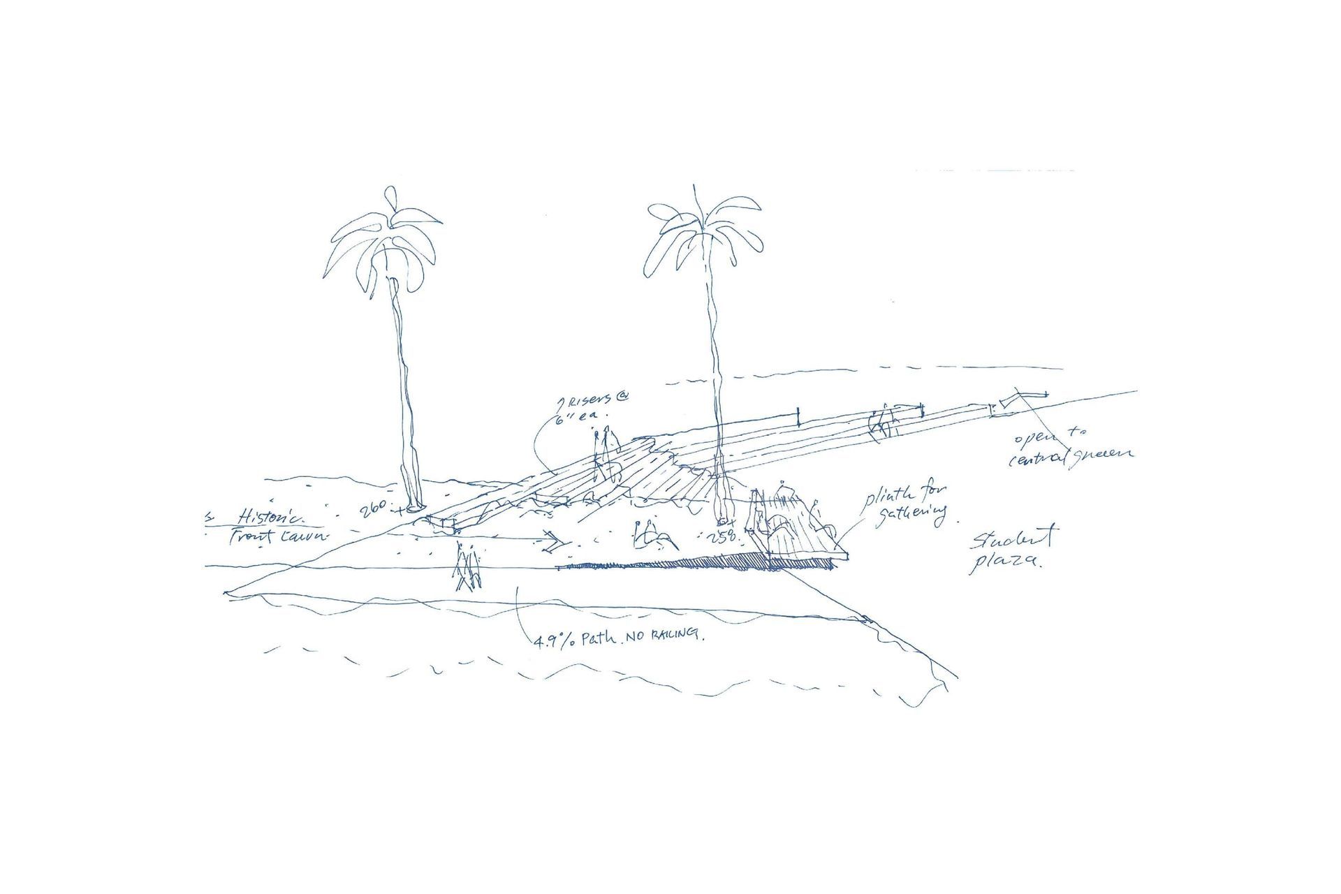 MaximinoMartinezSketch.jpg
