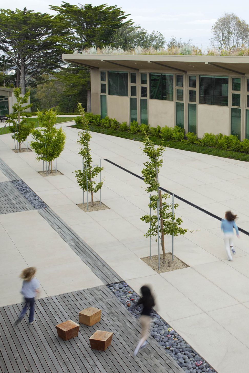 NuevaSchool02.jpg