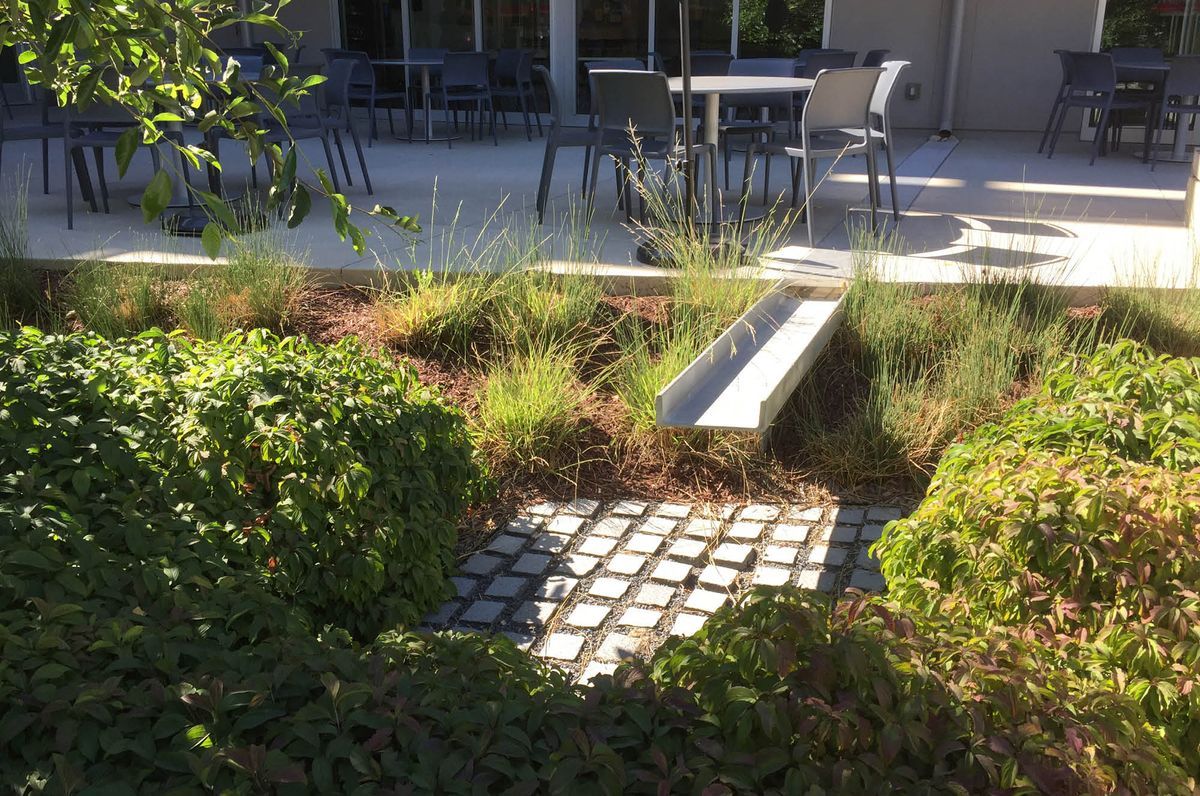 Bringing Lessons to Life | The Nueva School