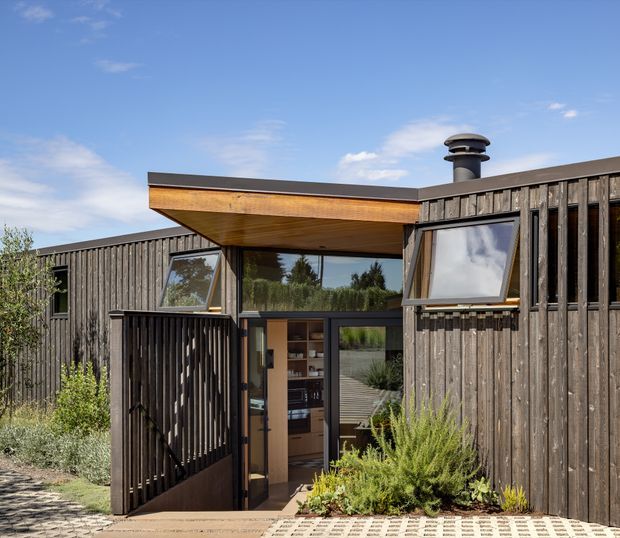 Exterior view of a compact contemporary dark timber-clad building with a recessed glazed entrance, projecting timber-lined canopy, angled window, and rooftop chimney. Native-style planting and patterned paving surround the entry.