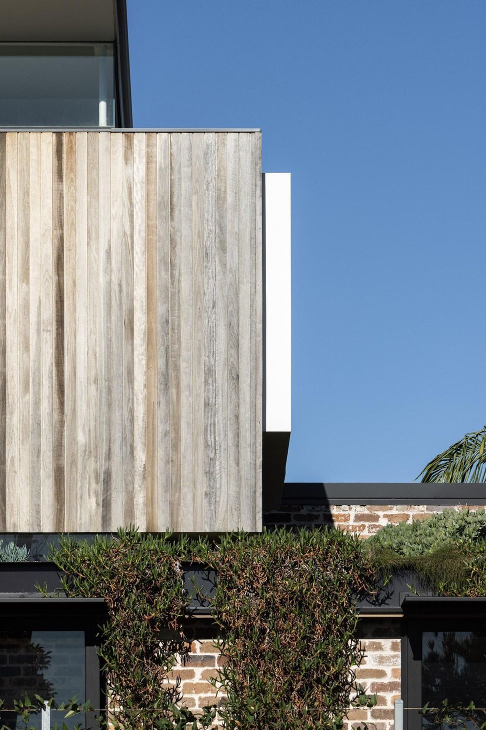 04-Matt-Day-Architect-Matt-Day-Manly-House-Exterior-Timber-Window-1.jpg