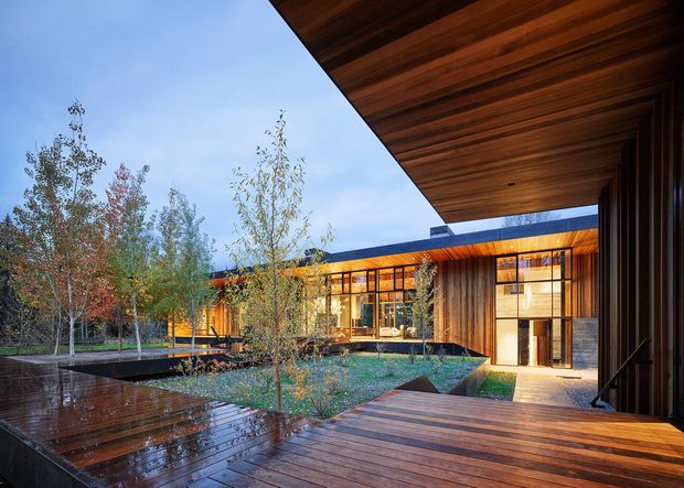 A contemporary low-profile building arranged around a landscaped courtyard and reflecting pool. The view is framed by a broad timber-lined roof overhang and warm timber decking, with extensive floor-to-ceiling glazing, dark vertical cladding, and illuminated interior spaces beyond. Young trees and planting soften the geometric courtyard composition.