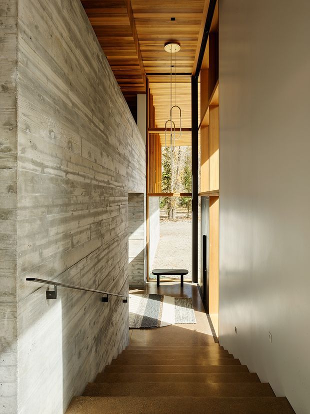 A narrow, light-filled interior stairway descends through a tall circulation space. The stair is bordered by a rough exposed concrete wall with a minimalist black handrail on the left and warm timber treads and ceiling above. Floor-to-ceiling glazing and timber-framed openings bring in views of trees and gravel outside, while built-in timber shelving and a simple bench occupy the right side. The design has a refined minimalist character with strong natural materials and vertical proportions.