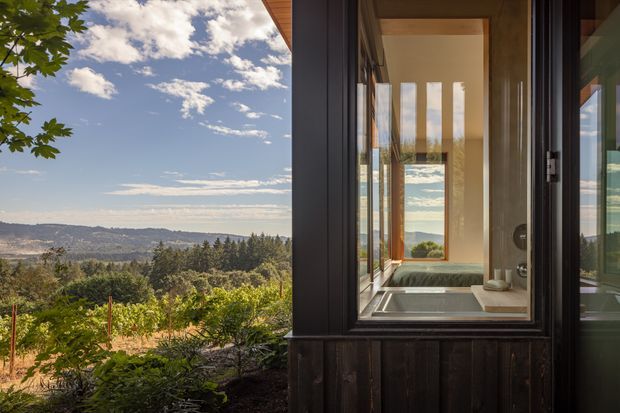A view from outside a dark-clad building toward a large glazed opening, revealing a compact bathroom with a freestanding or built-in bathtub, vanity, and narrow vertical windows. The property overlooks a vineyard and forested valley beneath a partly cloudy sky. The architecture uses dark vertical timber cladding, black-framed glazing, warm timber soffits, and a minimalist form integrated with the landscape.